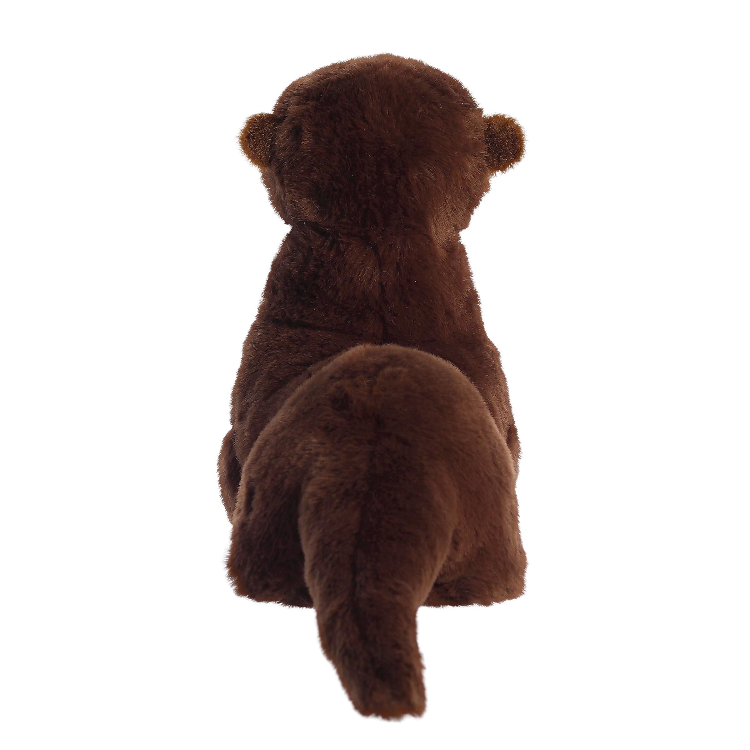 Aurora® - Eco Nation™ - 13.5 River Otter、mySite、g9winljtr