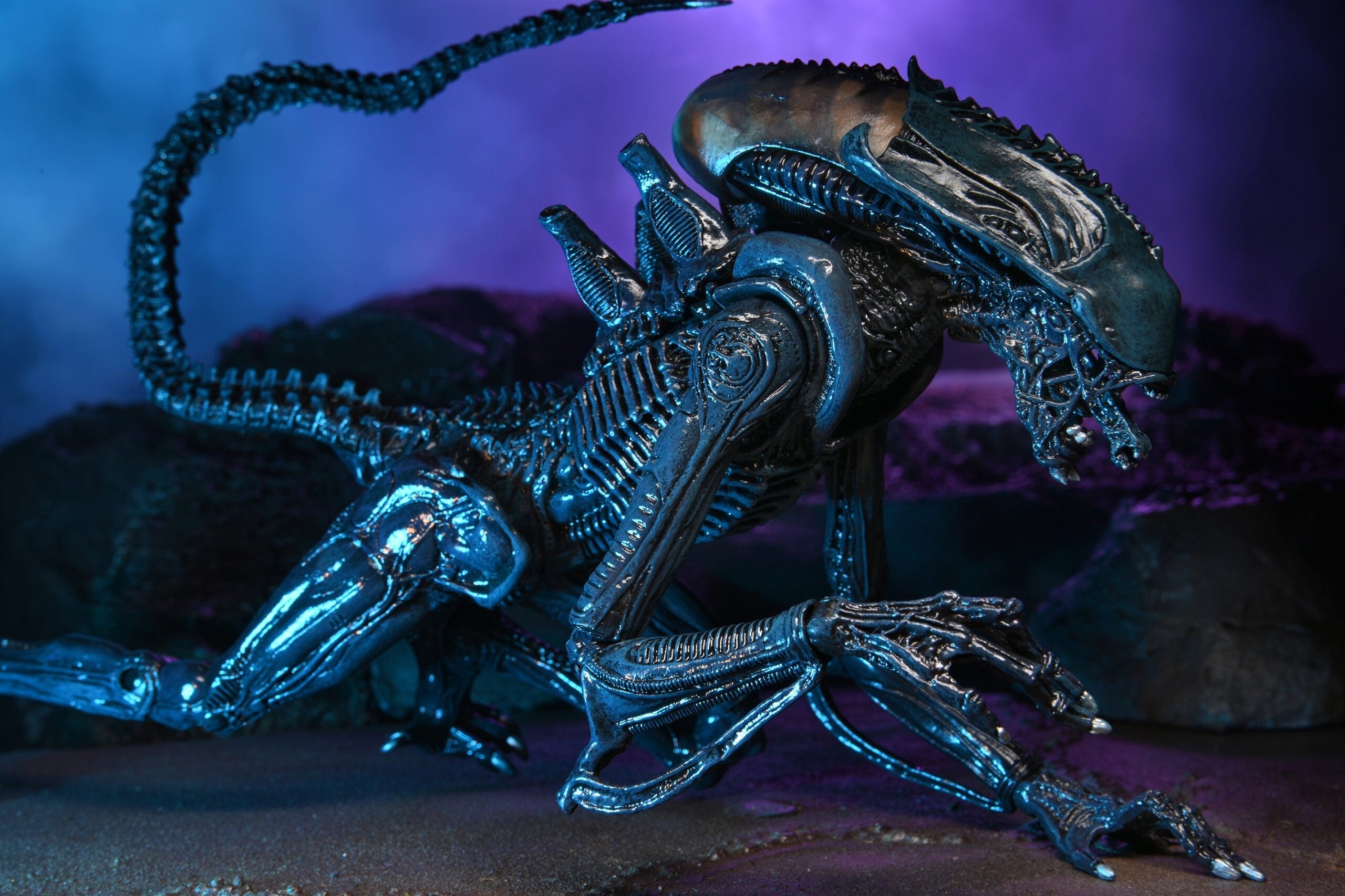 NECA Alien vs. Predator Arachnoid (Movie Deco)、mySite、hgirdovlk