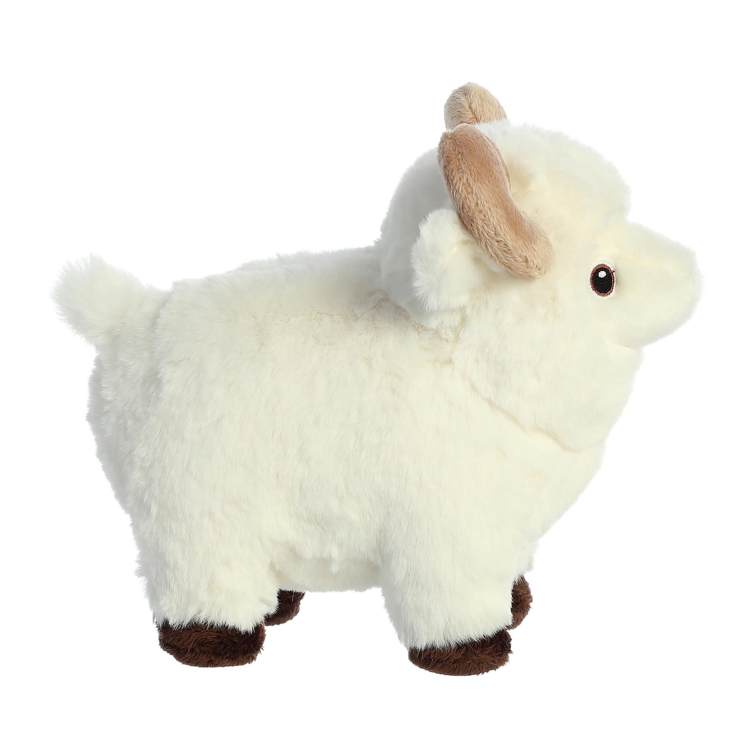 Aurora® - Eco Nation™ - 8 Ram、mySite、g9winljtr