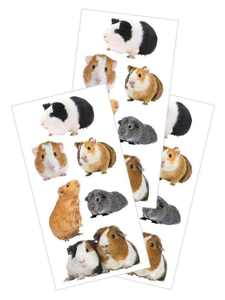  Decorative Stickers - Guinea Pigs、mySite、ghnorth