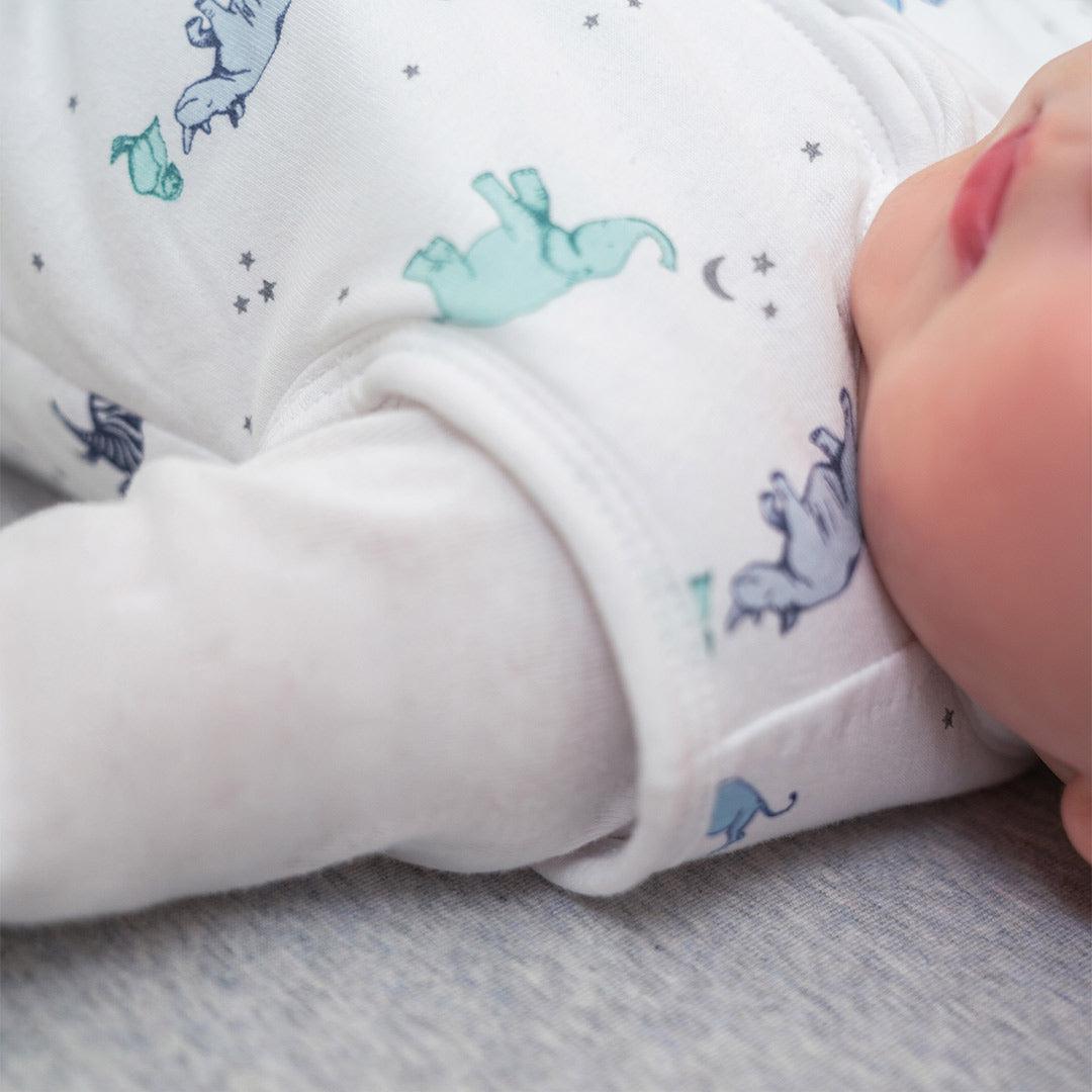  aden + anais Winter Sleeping Bag 2.5 TOG - Rising Star、mySite、merchandisen