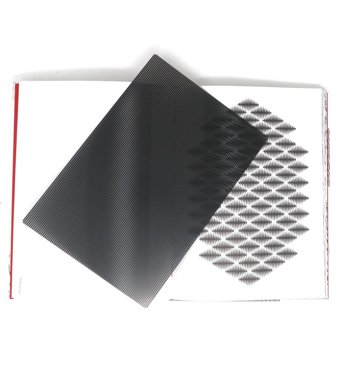  Moirémotion - Takahiro Kurashima、mySite、greenlandpopulation