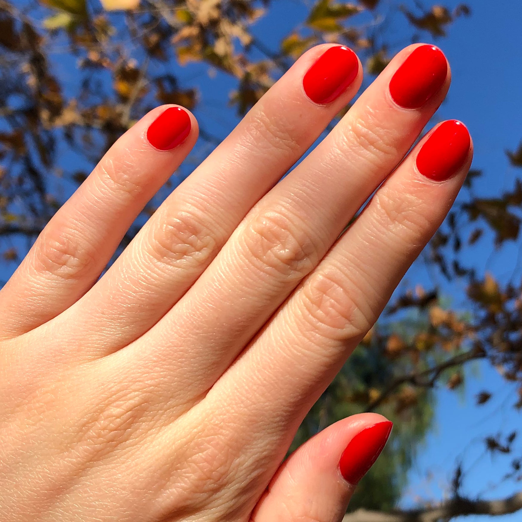 CV、mySite、solidvoid