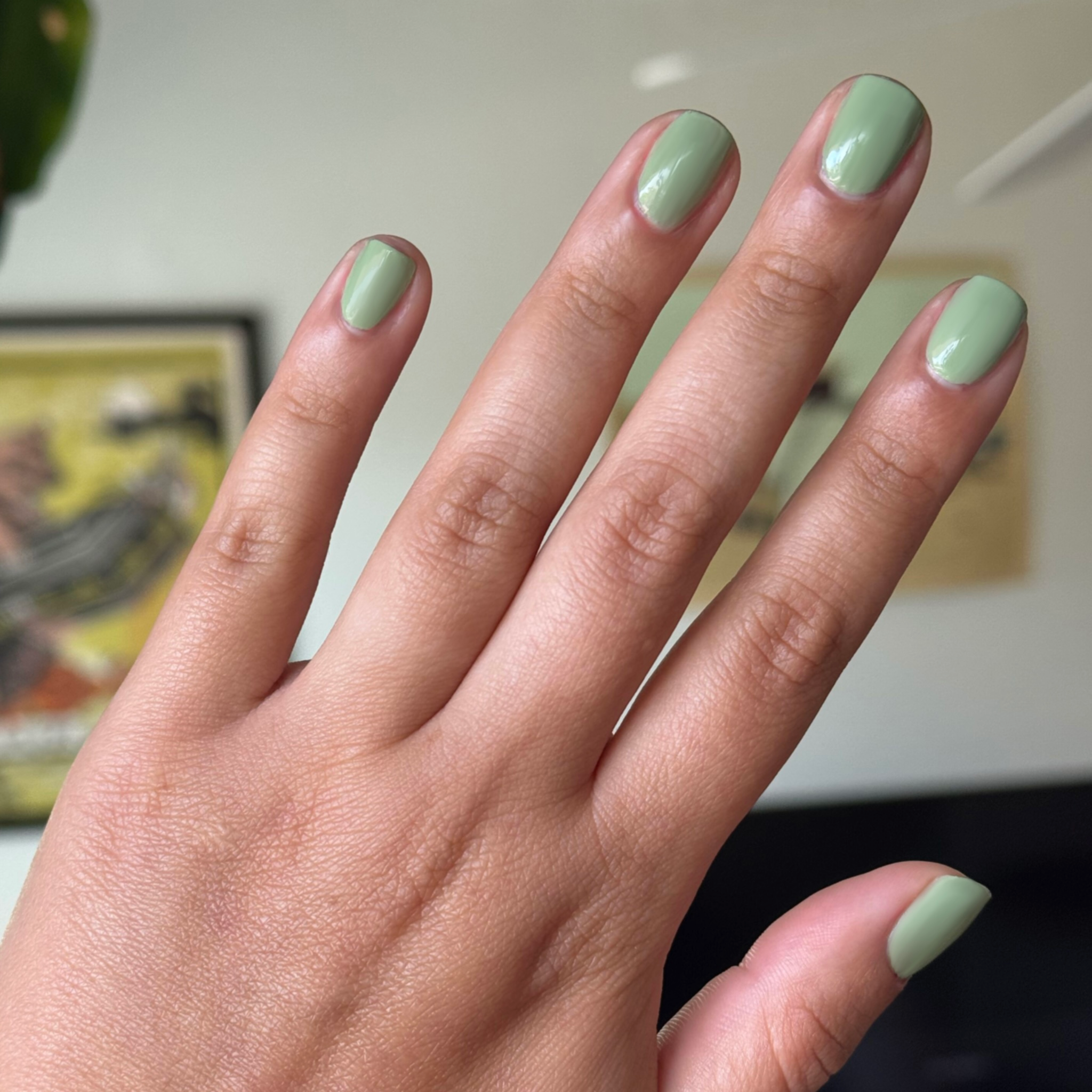 Meadow、mySite、solidvoid