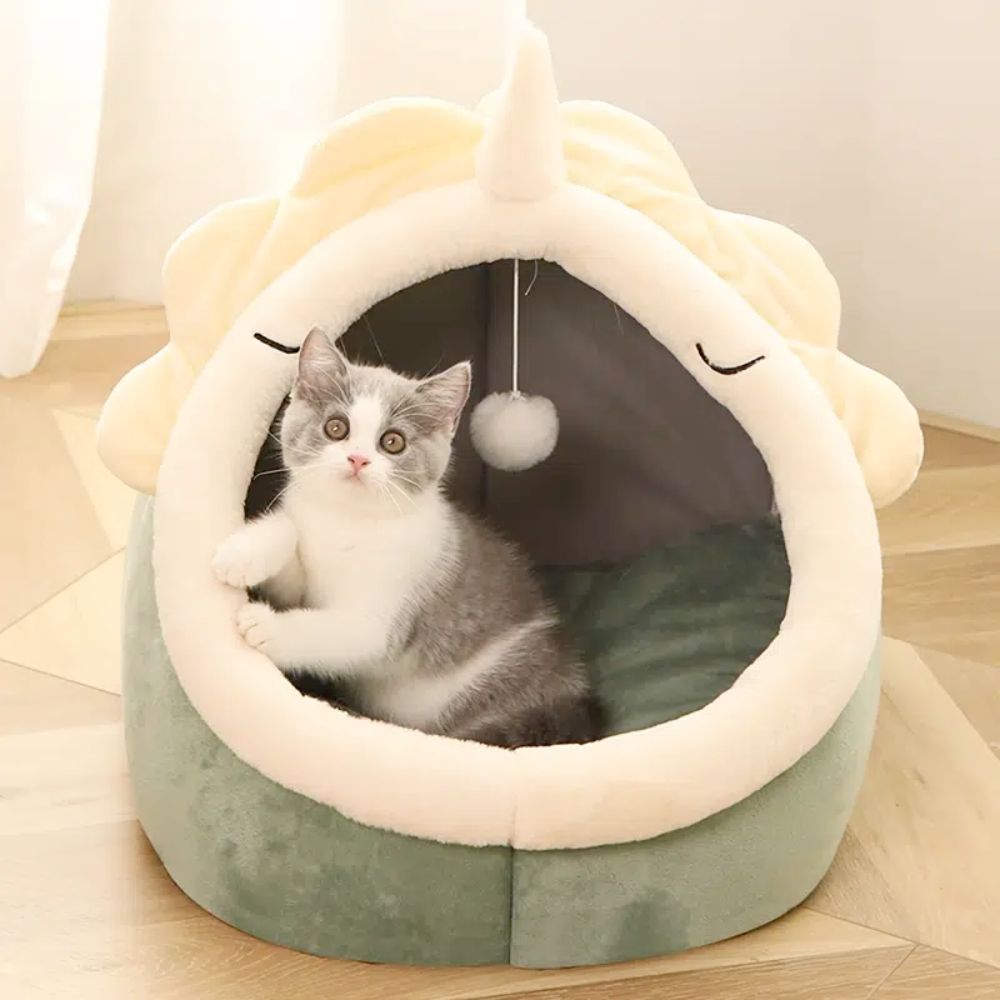 Adorable Dinosaur Pet House、mySite、camillekostekn