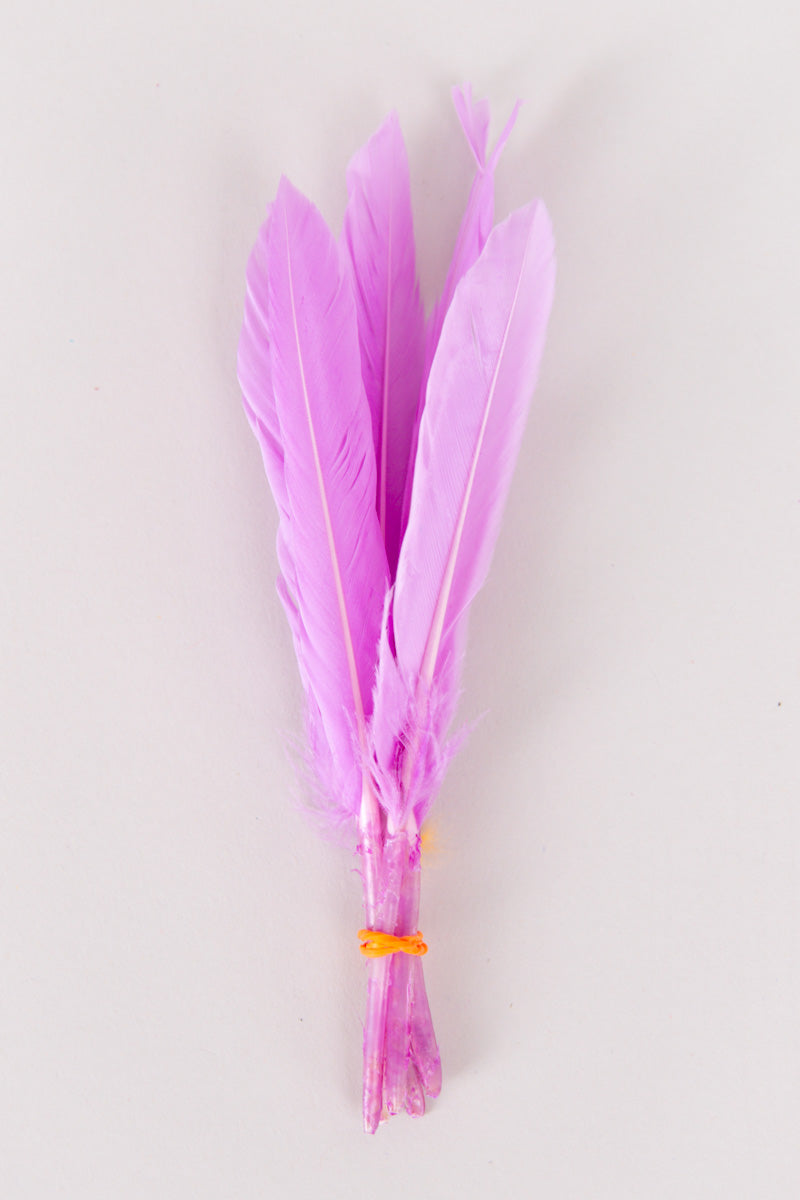 Mini Goose Feathers Bundle of 6- Orange Rubber Band - FINAL SALE、mySite、hinf8tx79