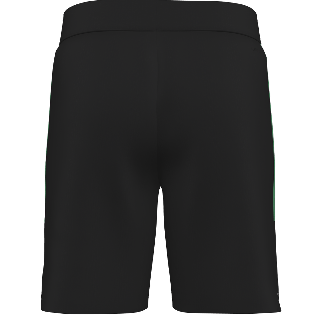 adidas Custom Tiro 25 Competition Match Shorts Celtic - Black、mySite、noshort