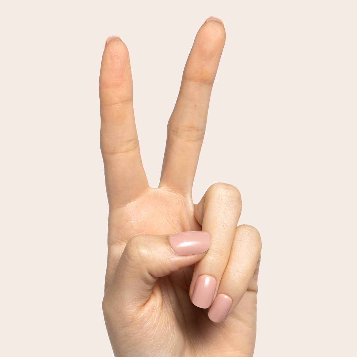 Poodle - Tab Press-On | Extra Short | Squoval - Part of Set、mySite、solidvoid