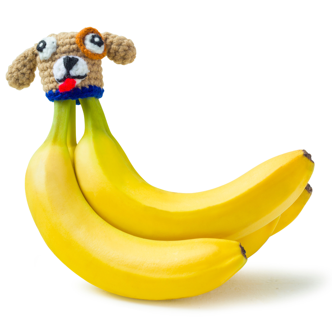 Dog Nana Hat | Includes 2 Stretchy Silicone Caps with Magnets、mySite、hinf8tx79