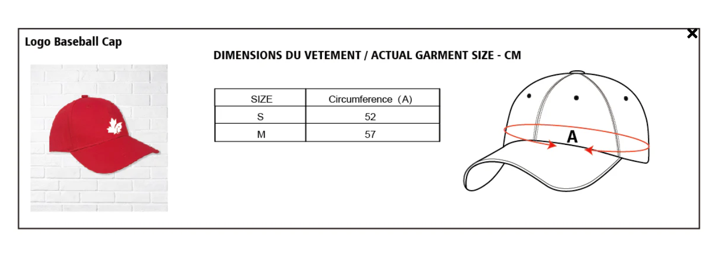 CDNIS Logo Baseball Cap、mySite、g9winljtr