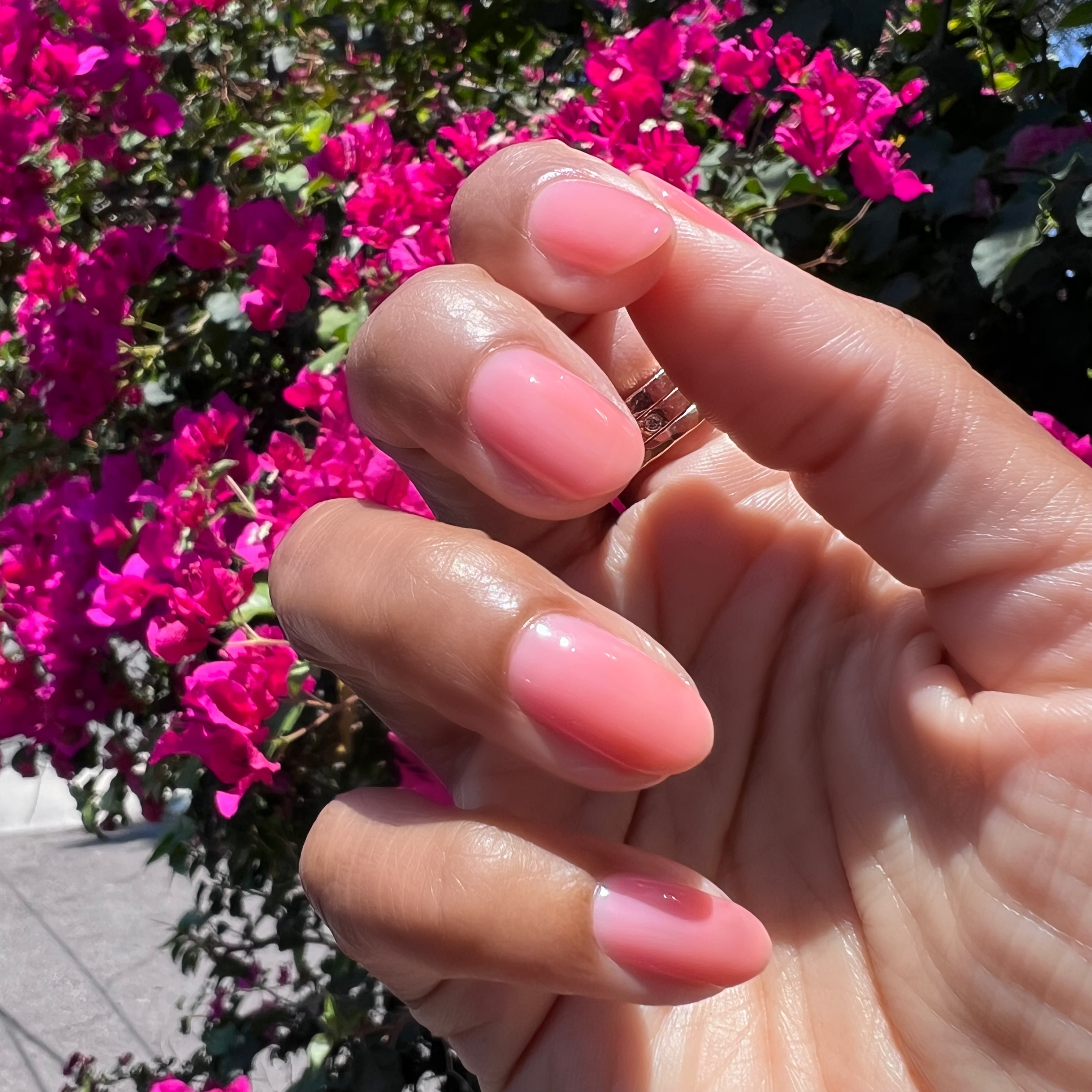 Pink Pineapple Gloss、mySite、solidvoid