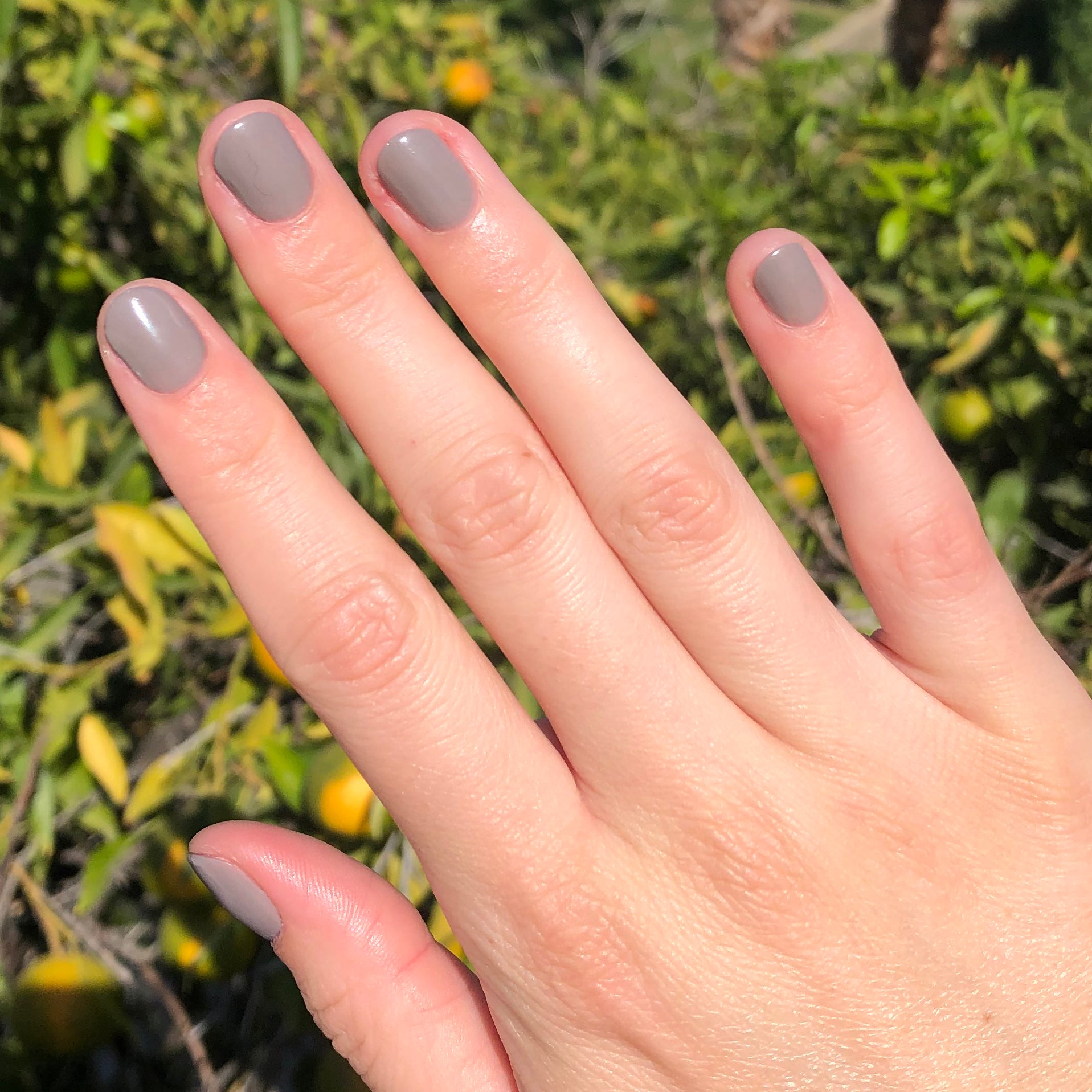 AW、mySite、solidvoid