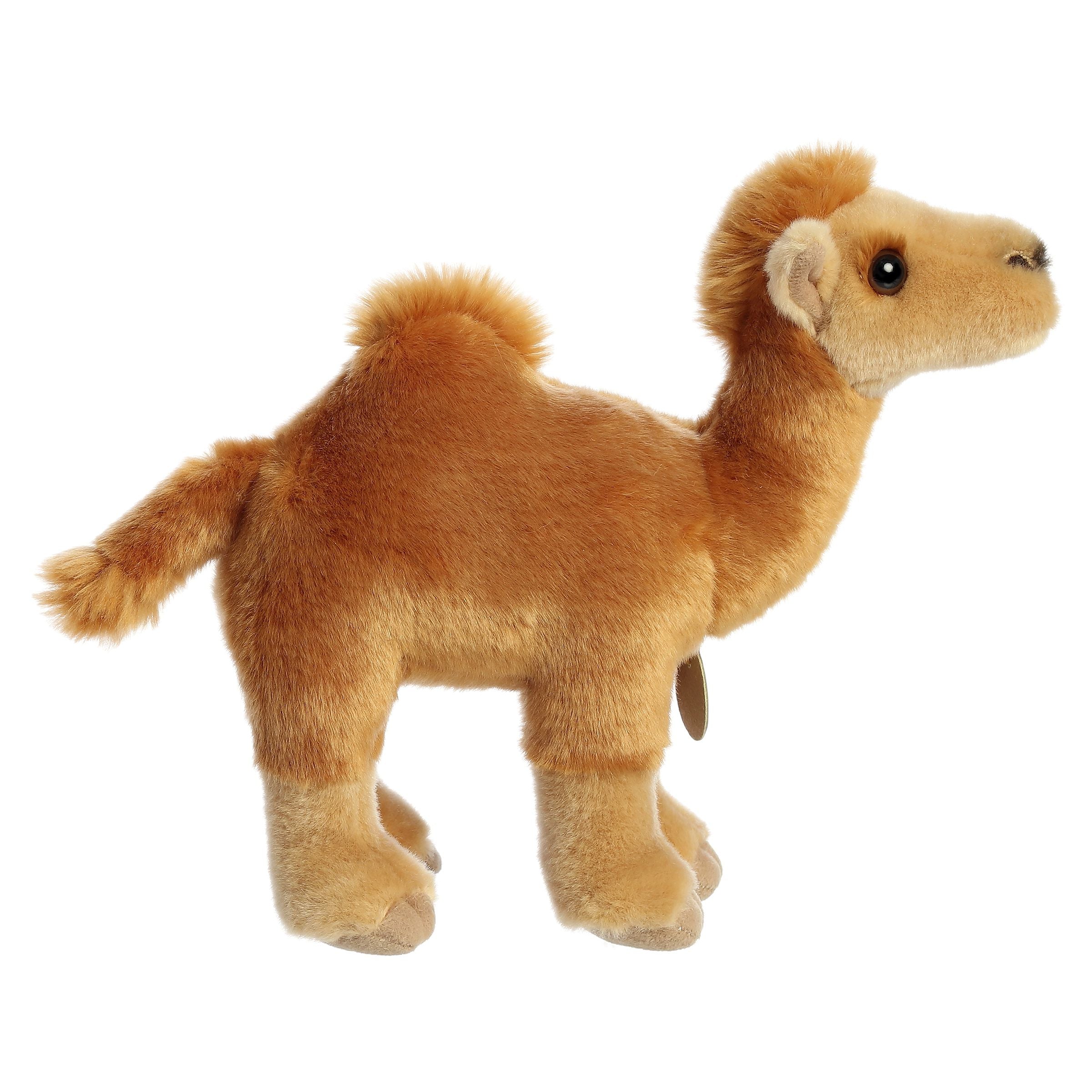 Aurora® - Miyoni® - 11 Dromedary Camel、mySite、g9winljtr