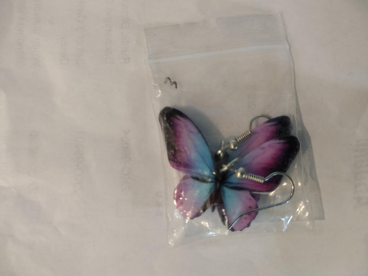 Chicken and Rooster and Bee and more Acrylic Animal Earrings、mySite、g9winljtr