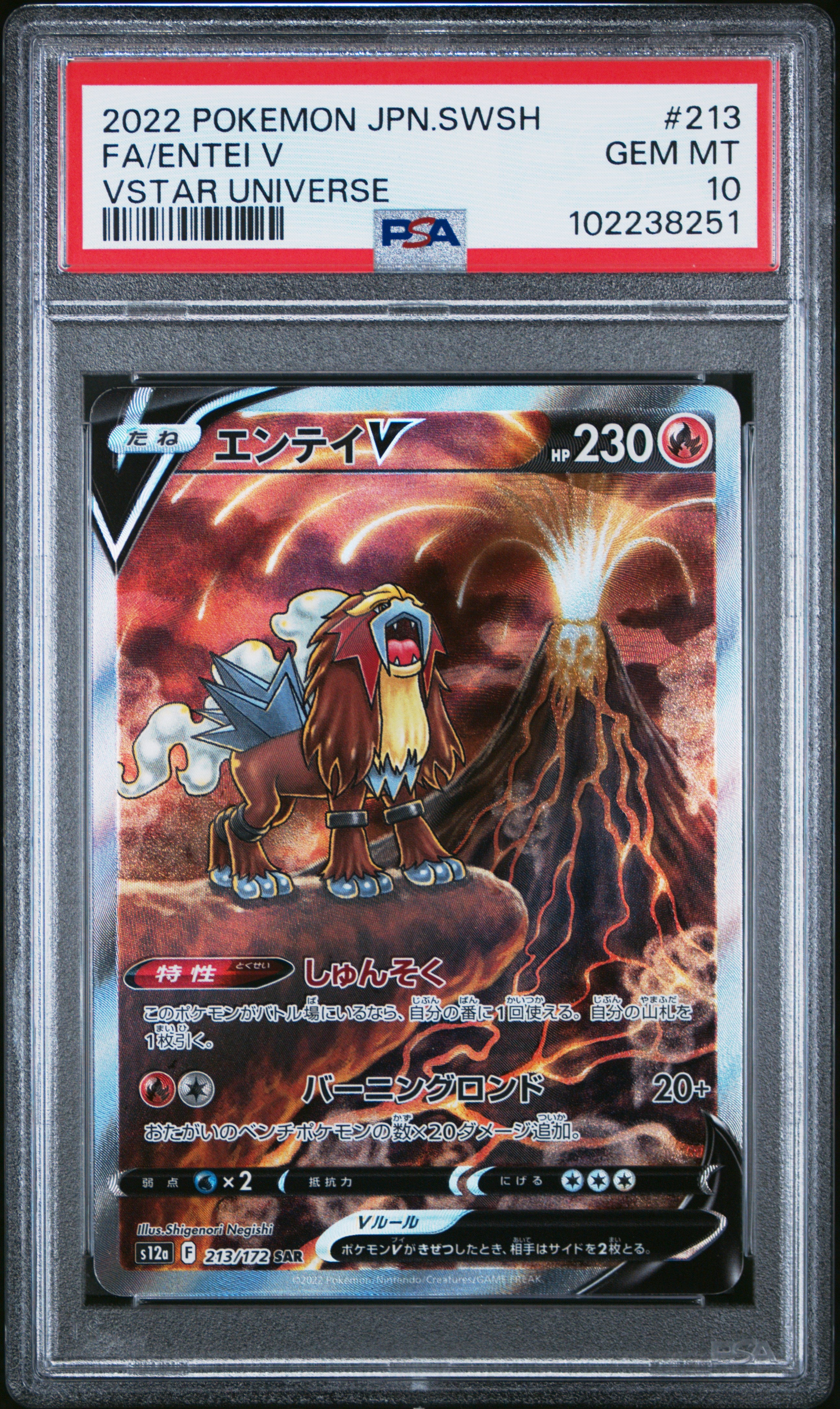 Entei V #213 Vstar Universe PSA 10 Japanese Vstar Universe 2022、mySite、waistdrama
