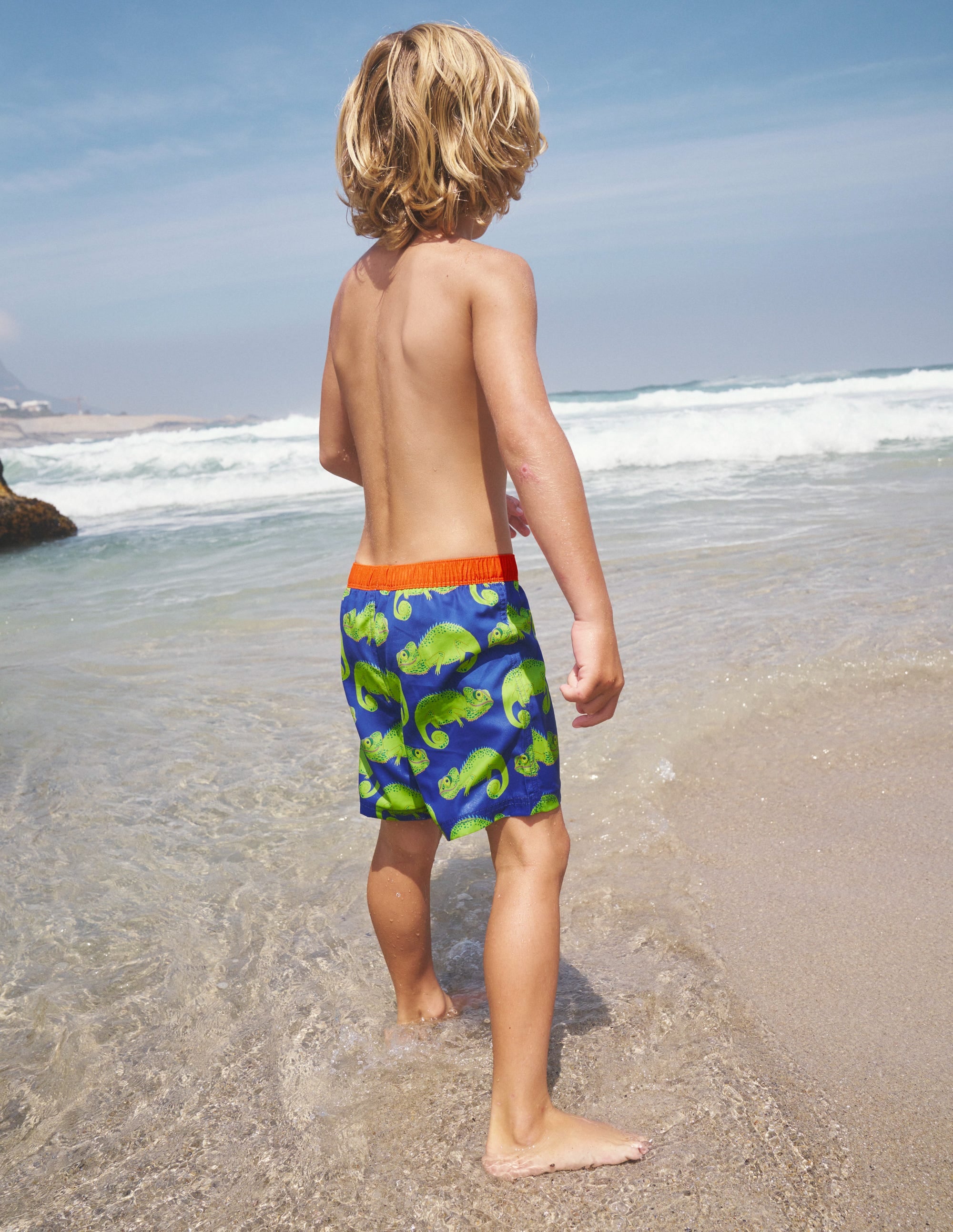  Swim Shorts-Blue Heron Chameleons、mySite、ashleygrahame