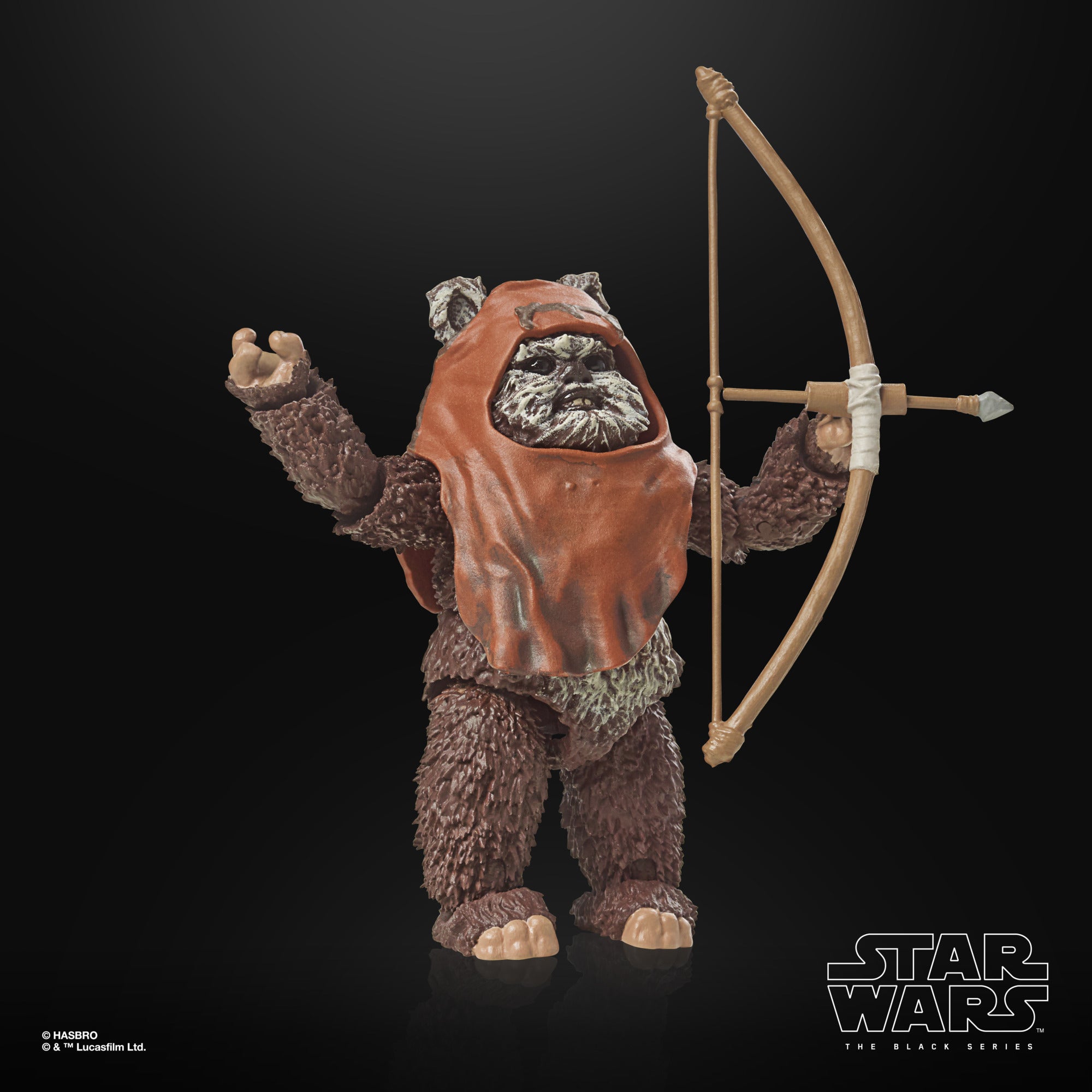Star Wars The Black Series Return of the Jedi 40th Anniversary Wicket、mySite、hgirdovlk