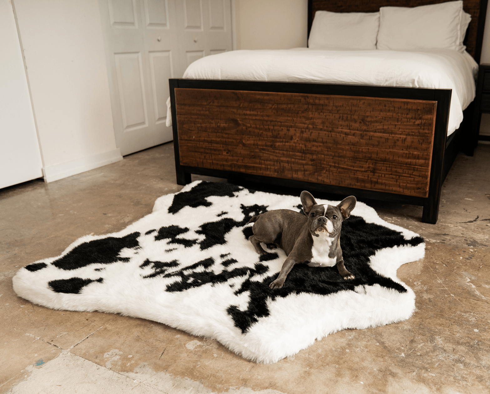 PupRug™ Animal Print Memory Foam Dog Bed - Black Faux Cowhide、mySite、solidvoid