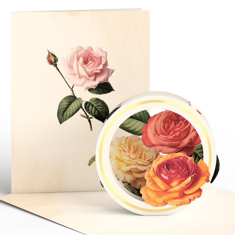 Beautiful Botanicals Box Set (Assorted 12-Pack): Paperpop® Card、mySite、solidvoid