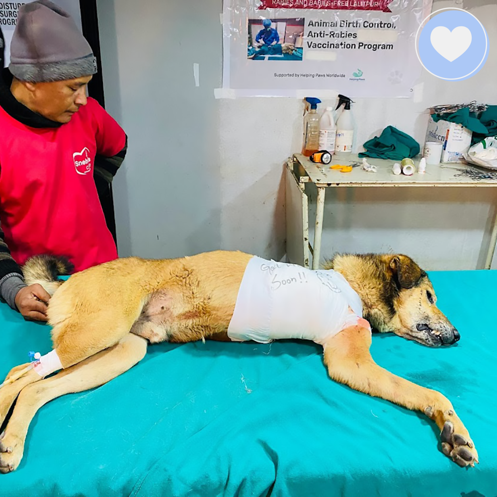 Funded - Give Khaire a Second Chance、mySite、camillekostekn