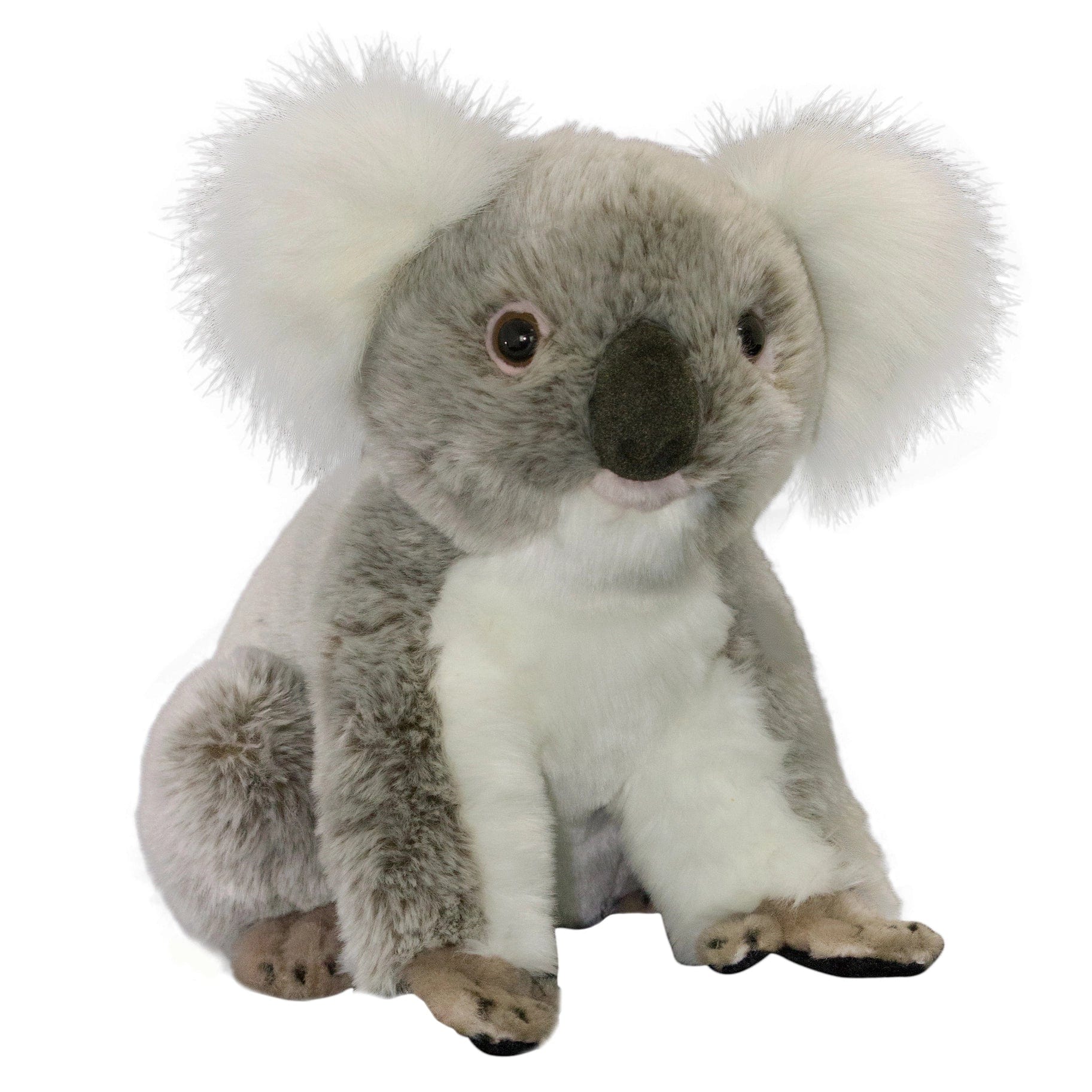 Plush Koala in 3 Sizes, Lifelike!、mySite、g9winljtr