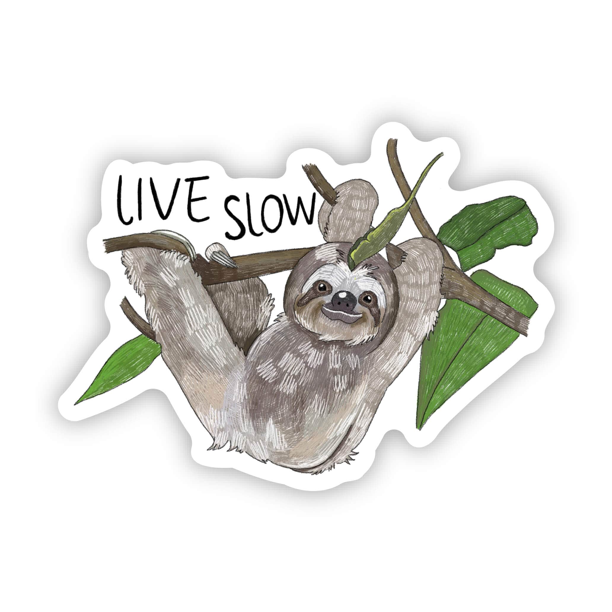  Live slow sloth sticker、mySite、elrpsem3k