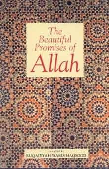 The Beautiful Promises of Allah PB、mySite、topwebapps