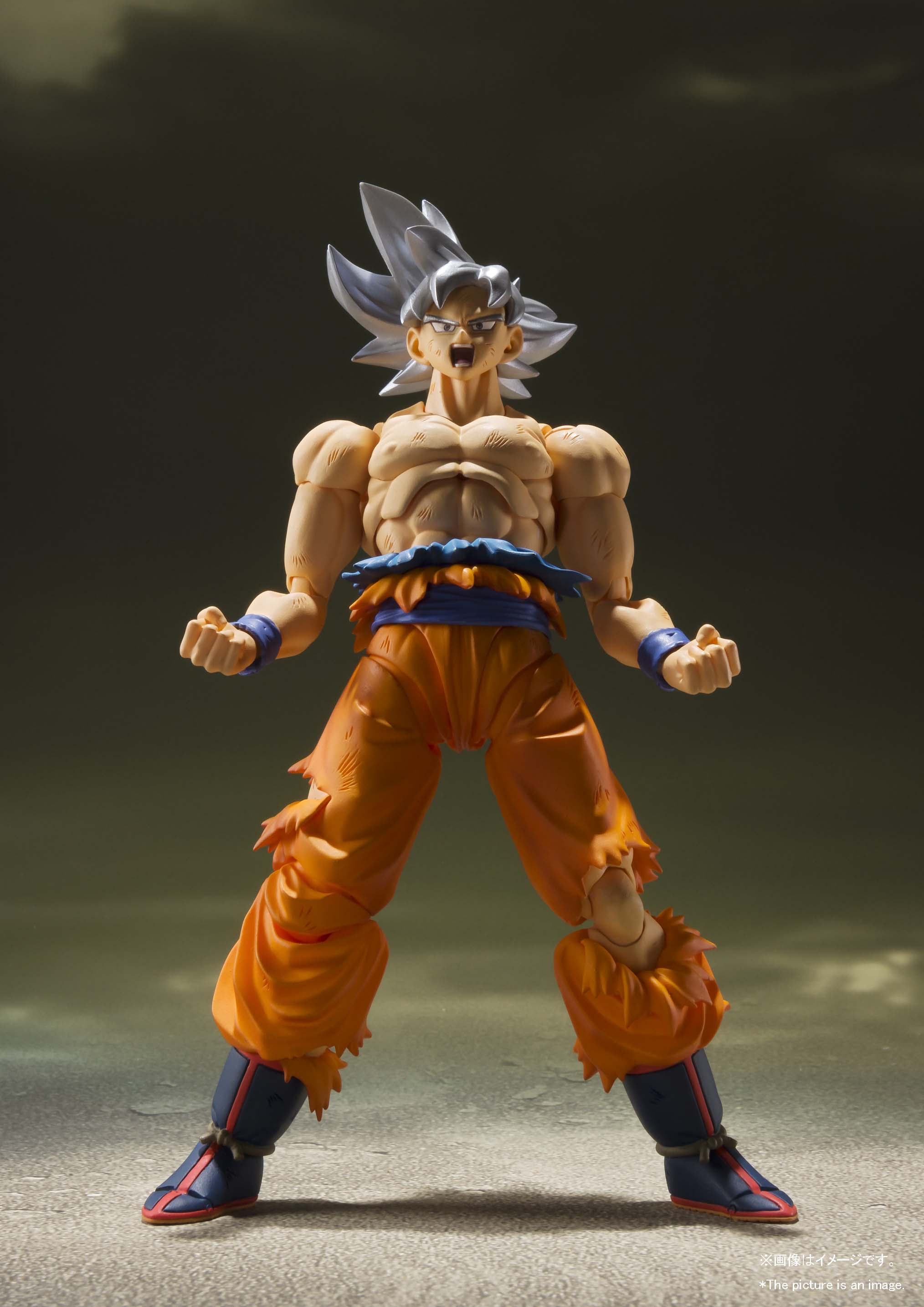 S.H. Figuarts Dragon Ball Super Son Goku Ultra Instinct (Reissue)、mySite、hgirdovlk