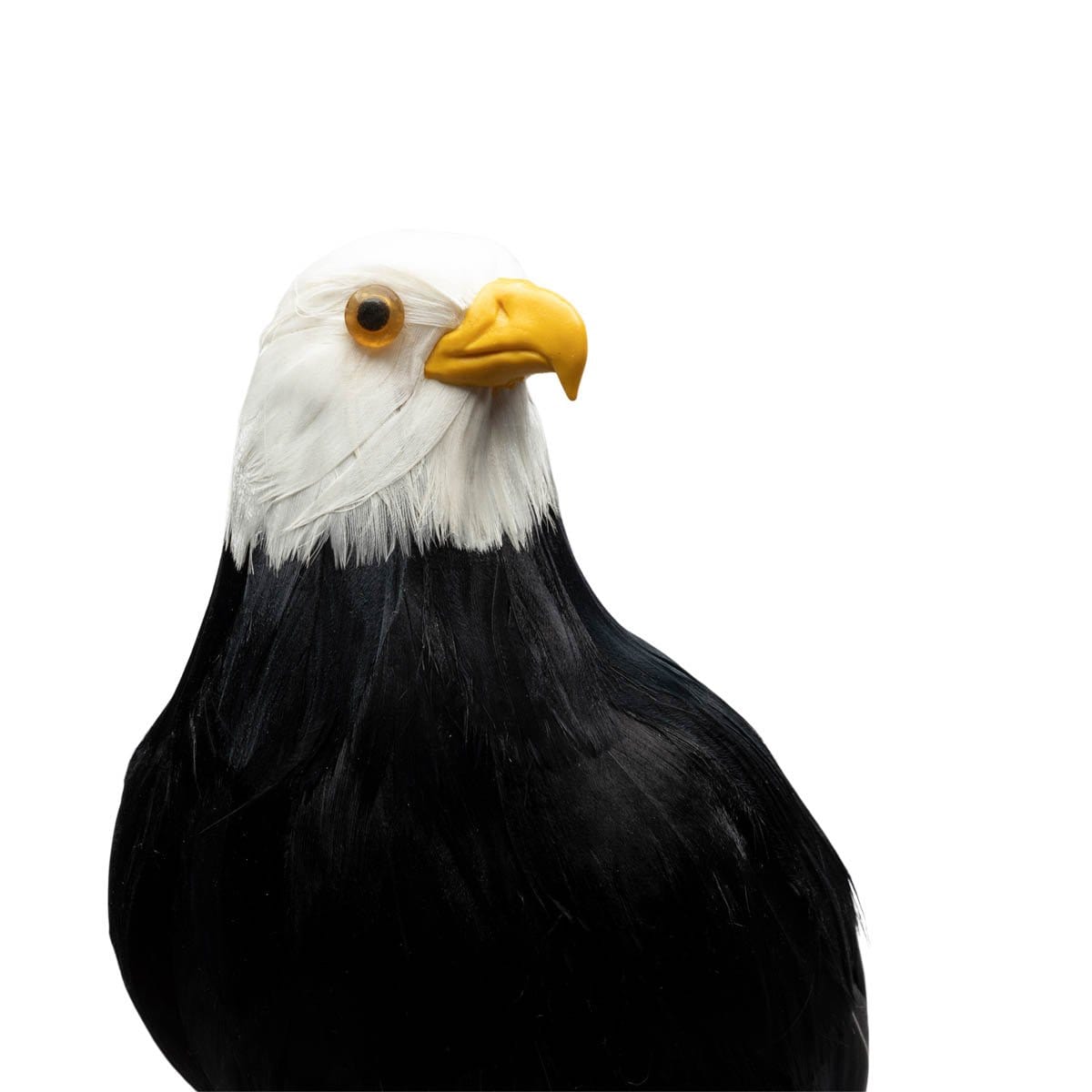 ARTIFICIAL BIRDS: BALD EAGLE、mySite、zt4zffjzw