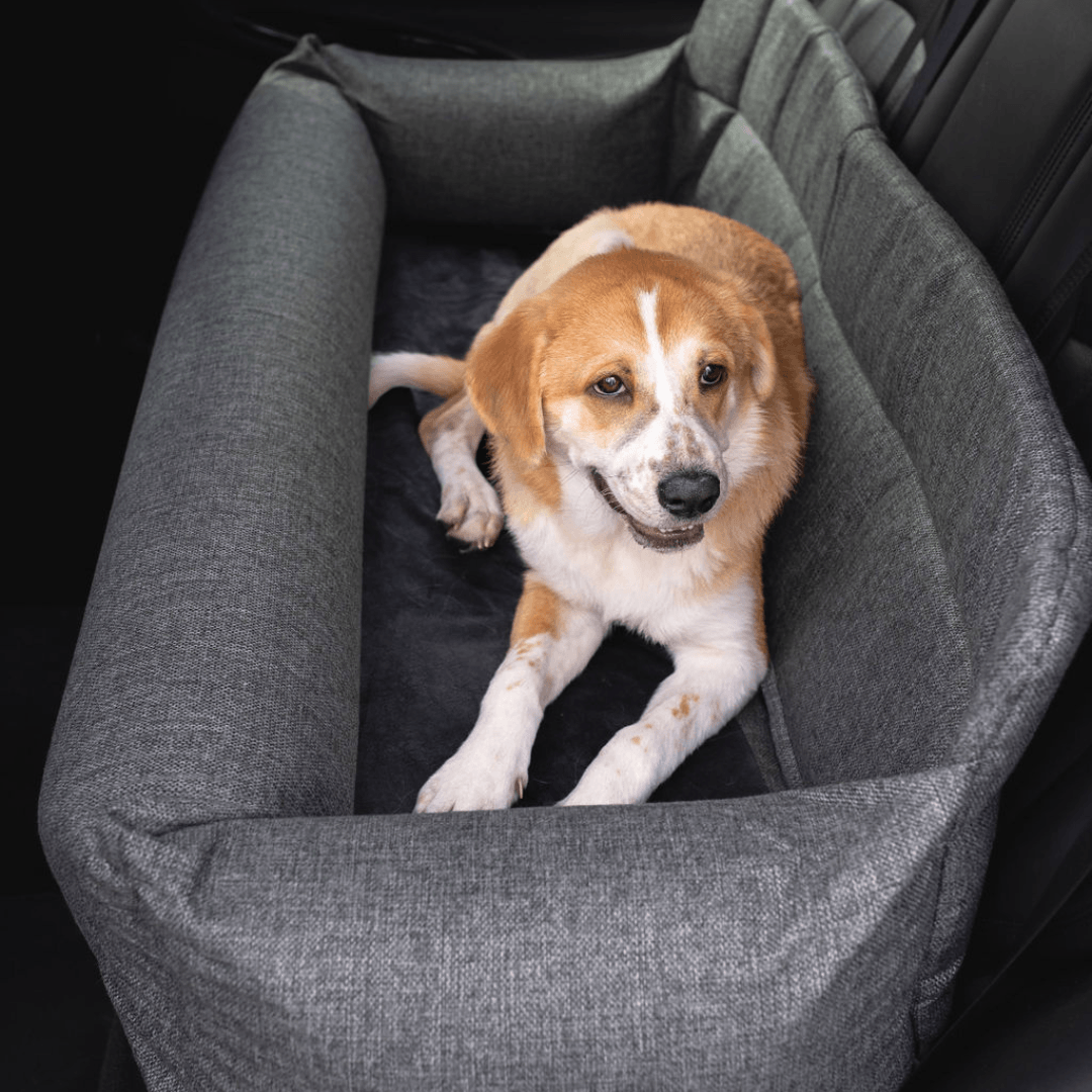 PupProtector™ Memory Foam Dog Car Bed、mySite、solidvoid