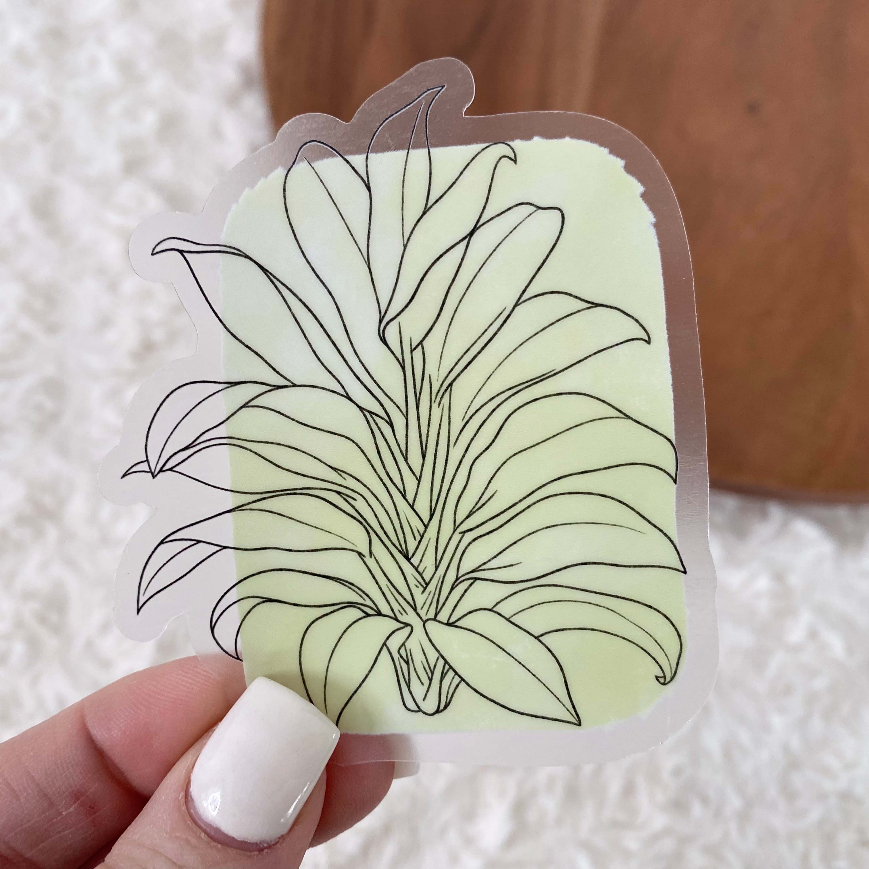  Cordyline Fruticosa Abstract - Clear Sticker、mySite、ghnorth