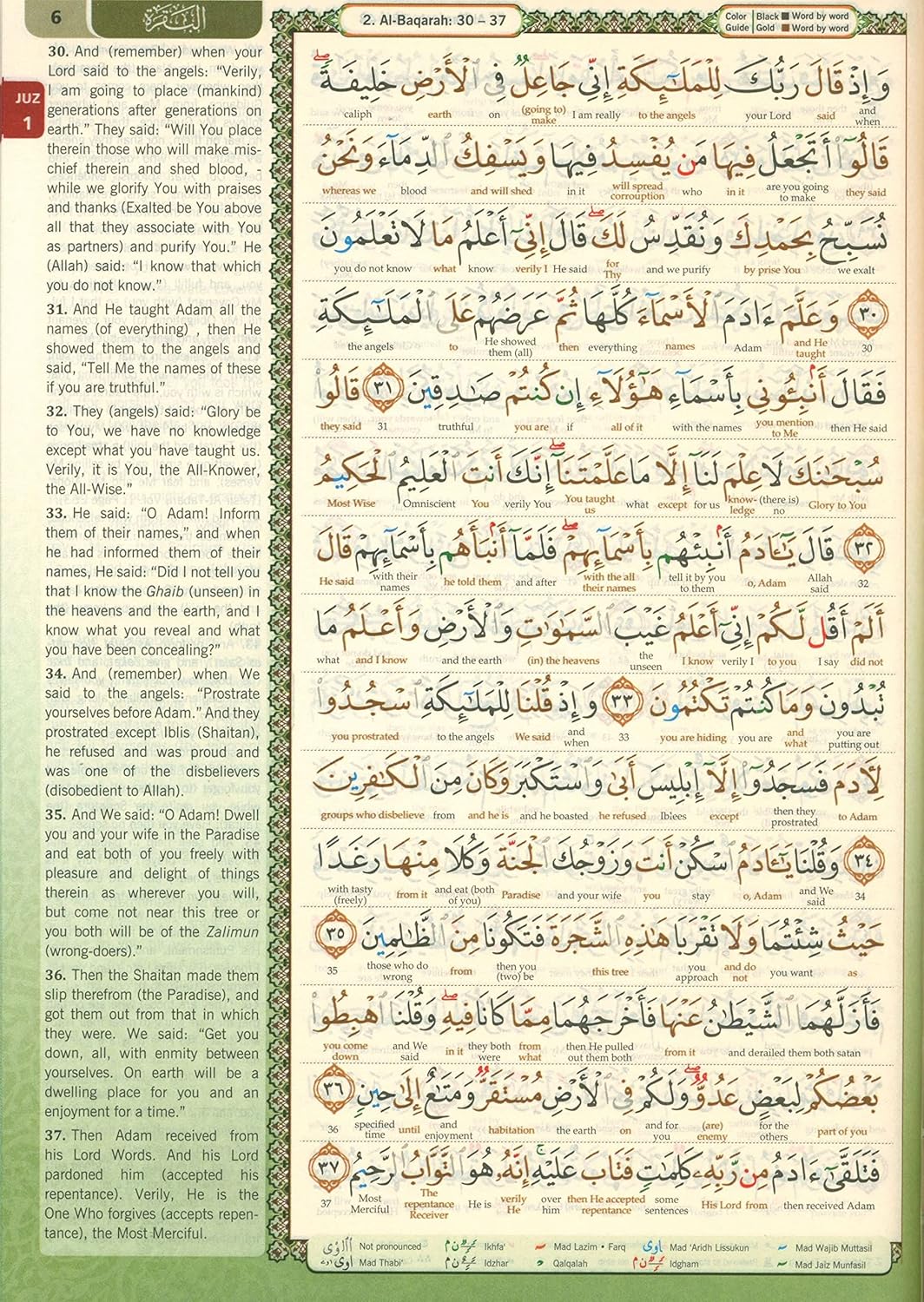 Al-Quran Al-Karim The Noble Quran A4 Large Tajweed Word-by-Word English Translation、mySite、topwebapps