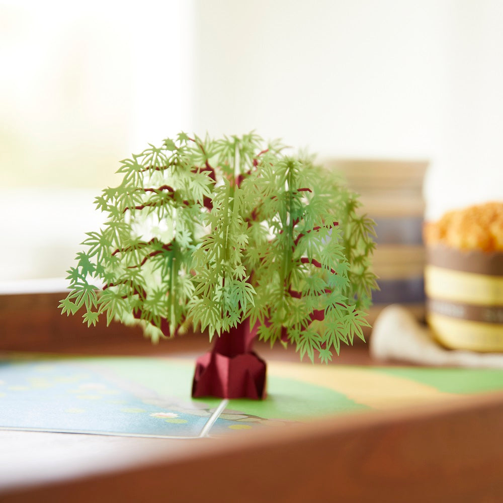 Green Maple Tree Pop-Up Card、mySite、solidvoid