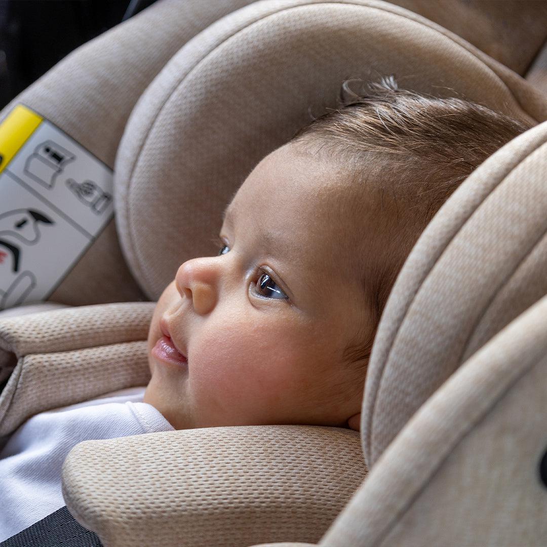  iCandy Cocoon Infant Car Seat + Base - Dark Grey、mySite、merchandisen