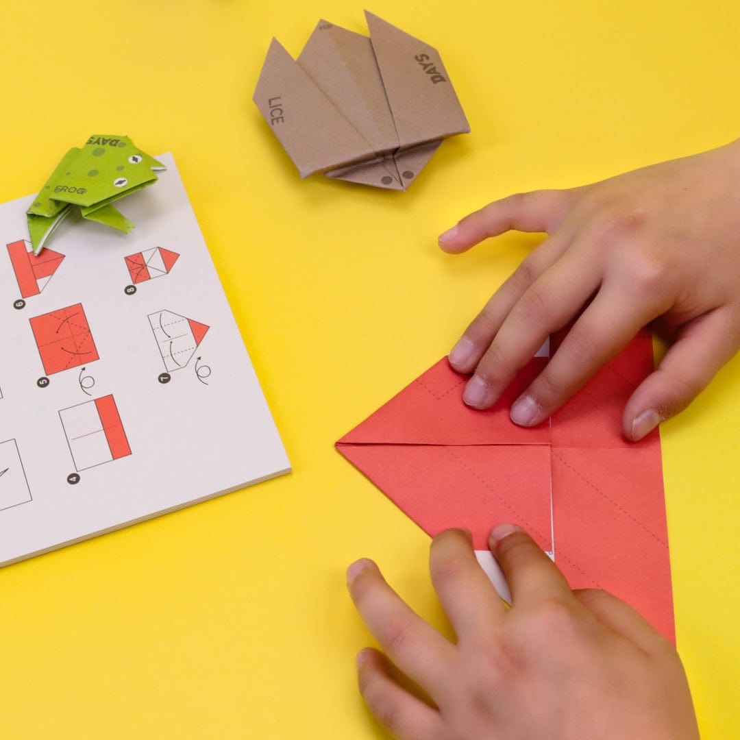 DIY Passover Seder in a Box、mySite、topwebapps