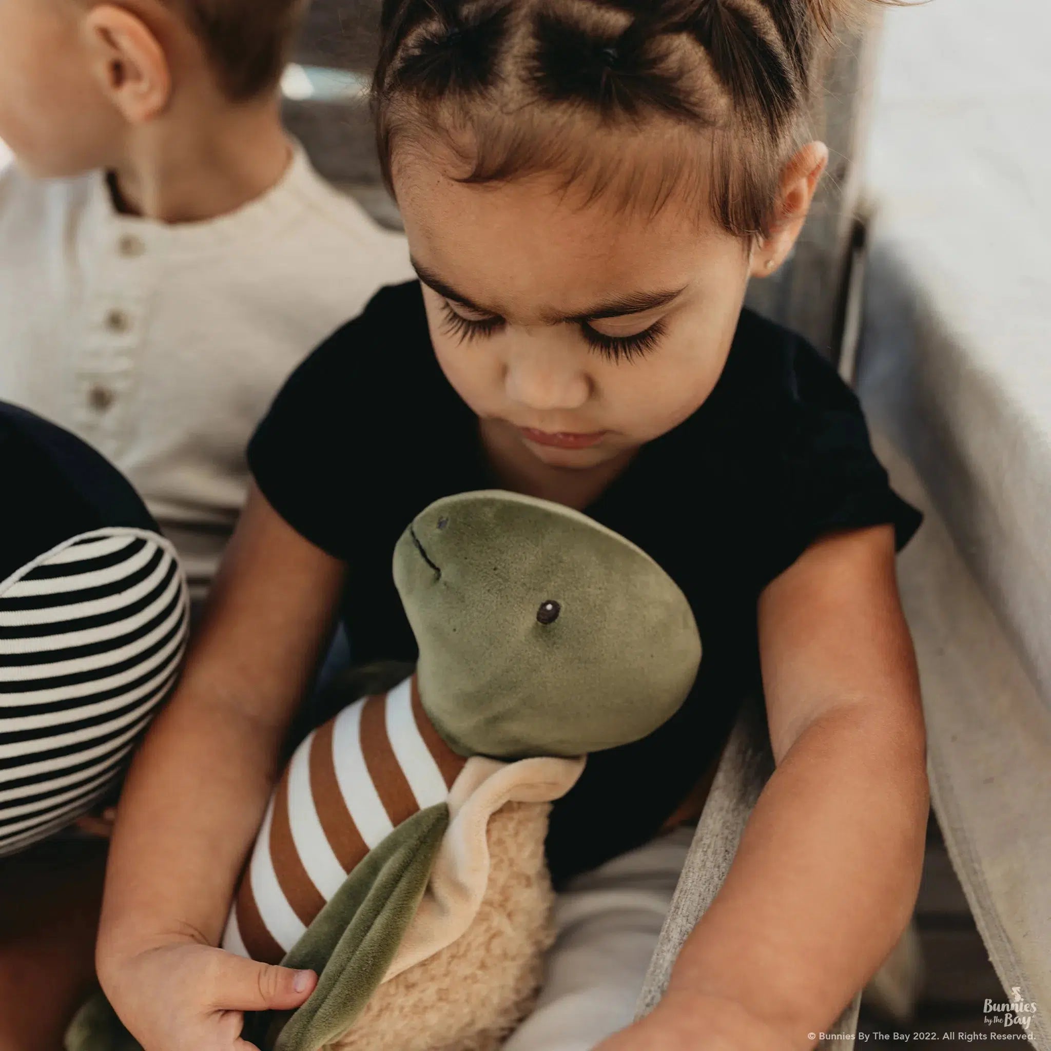 Sheldon the Turtle、mySite、g9winljtr