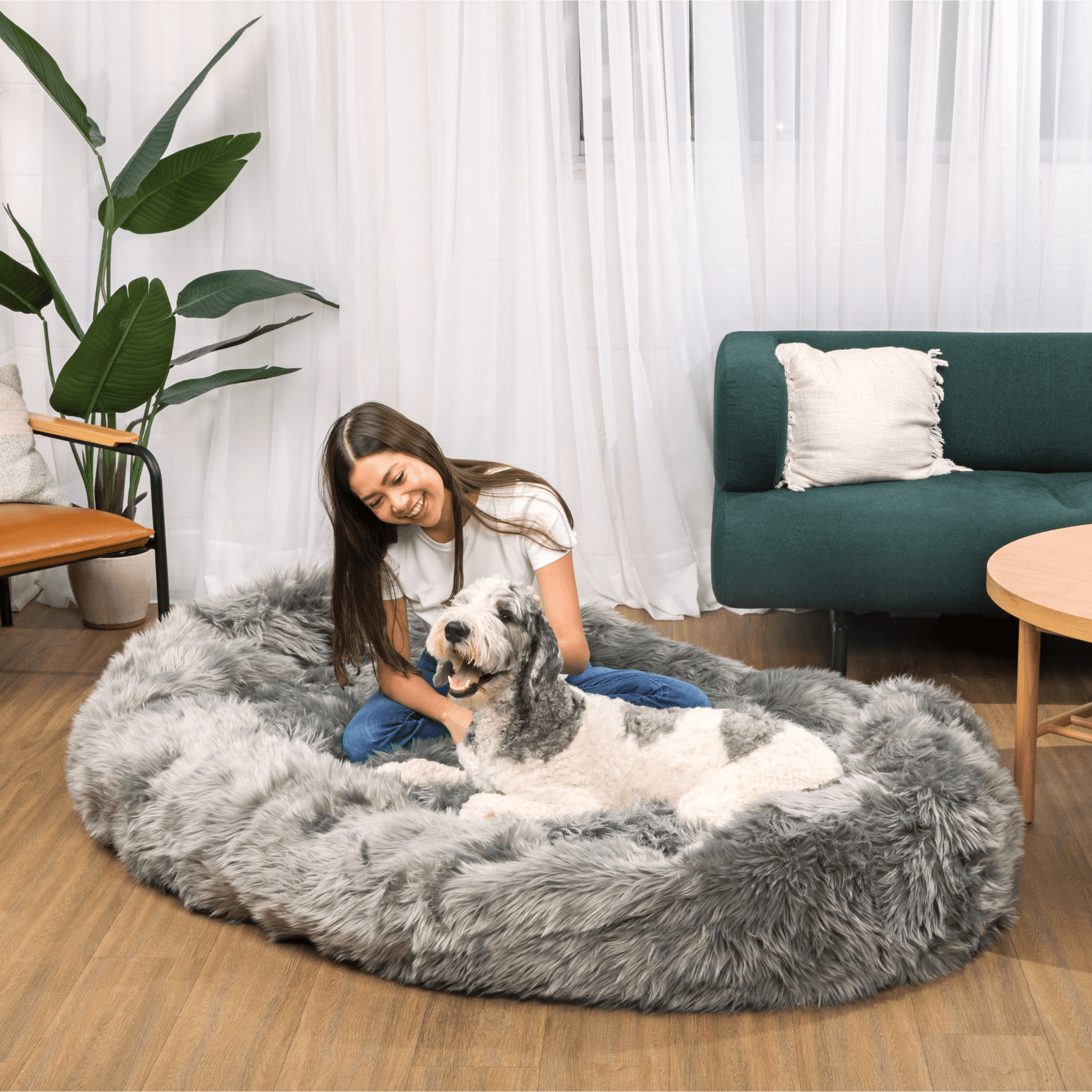 PupCloud™ Human-Size Faux Fur Memory Foam Dog Bed - Charcoal Grey、mySite、solidvoid
