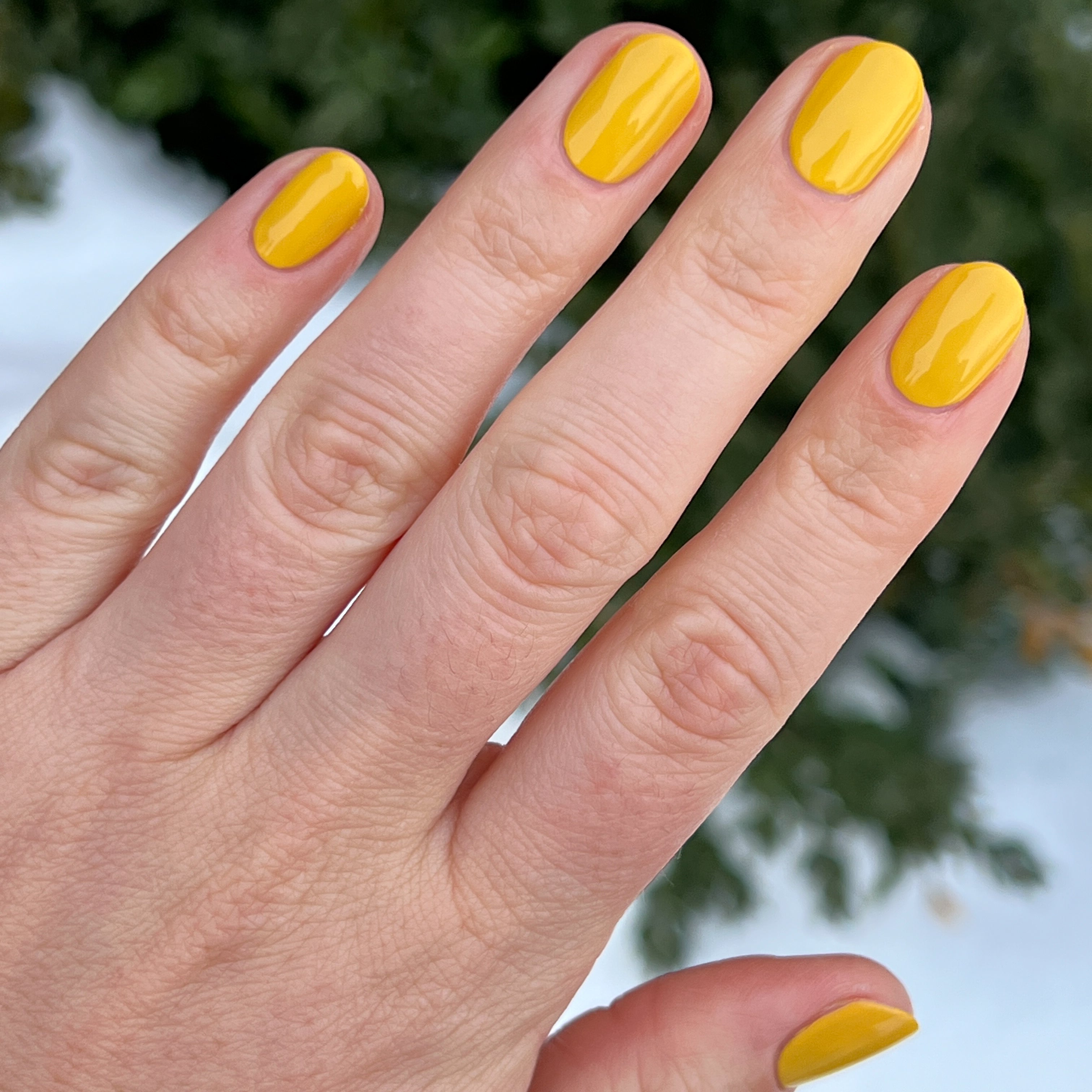 Golden Afternoon、mySite、solidvoid