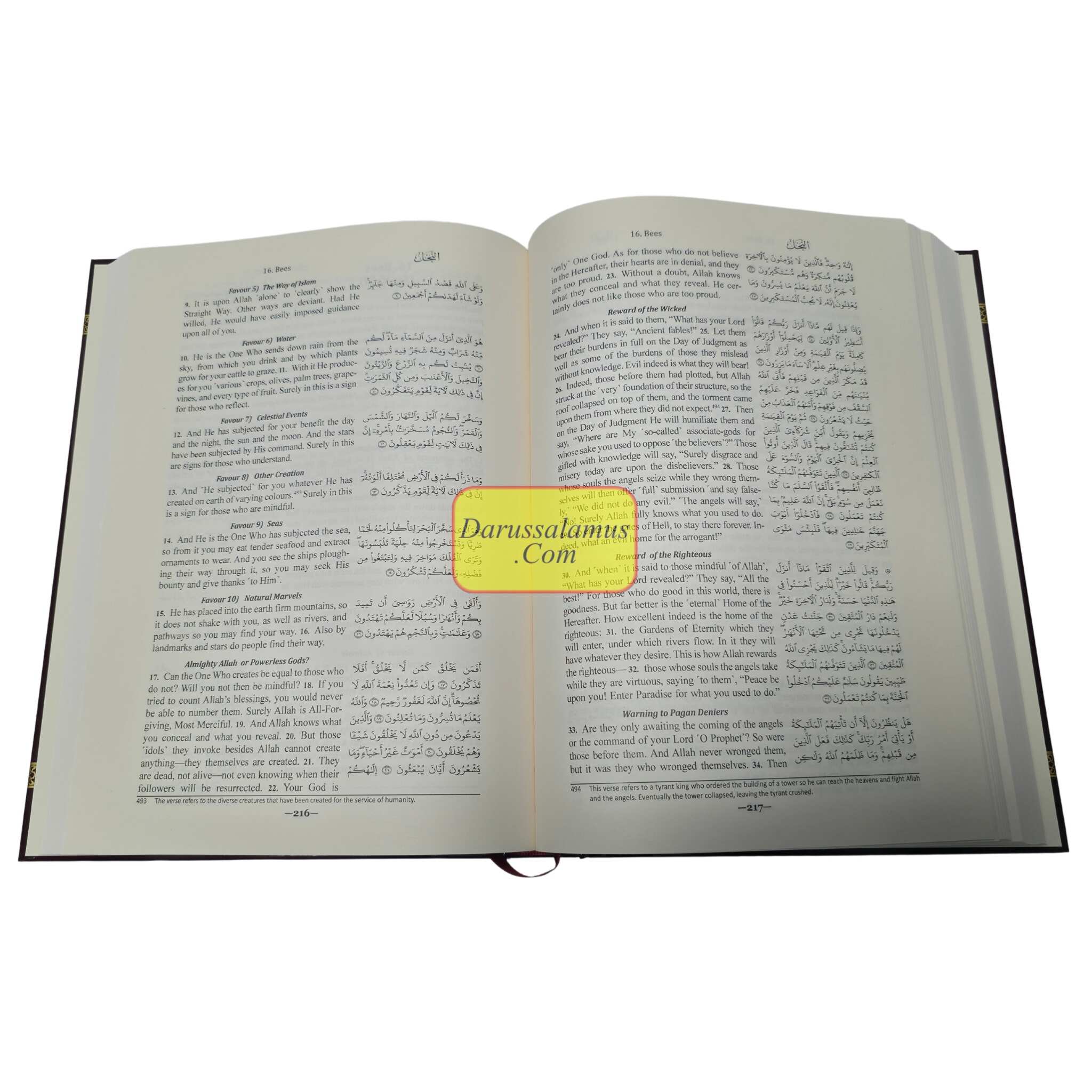 The Clear Quran - A Thematic English Translation Large Size、mySite、topwebapps