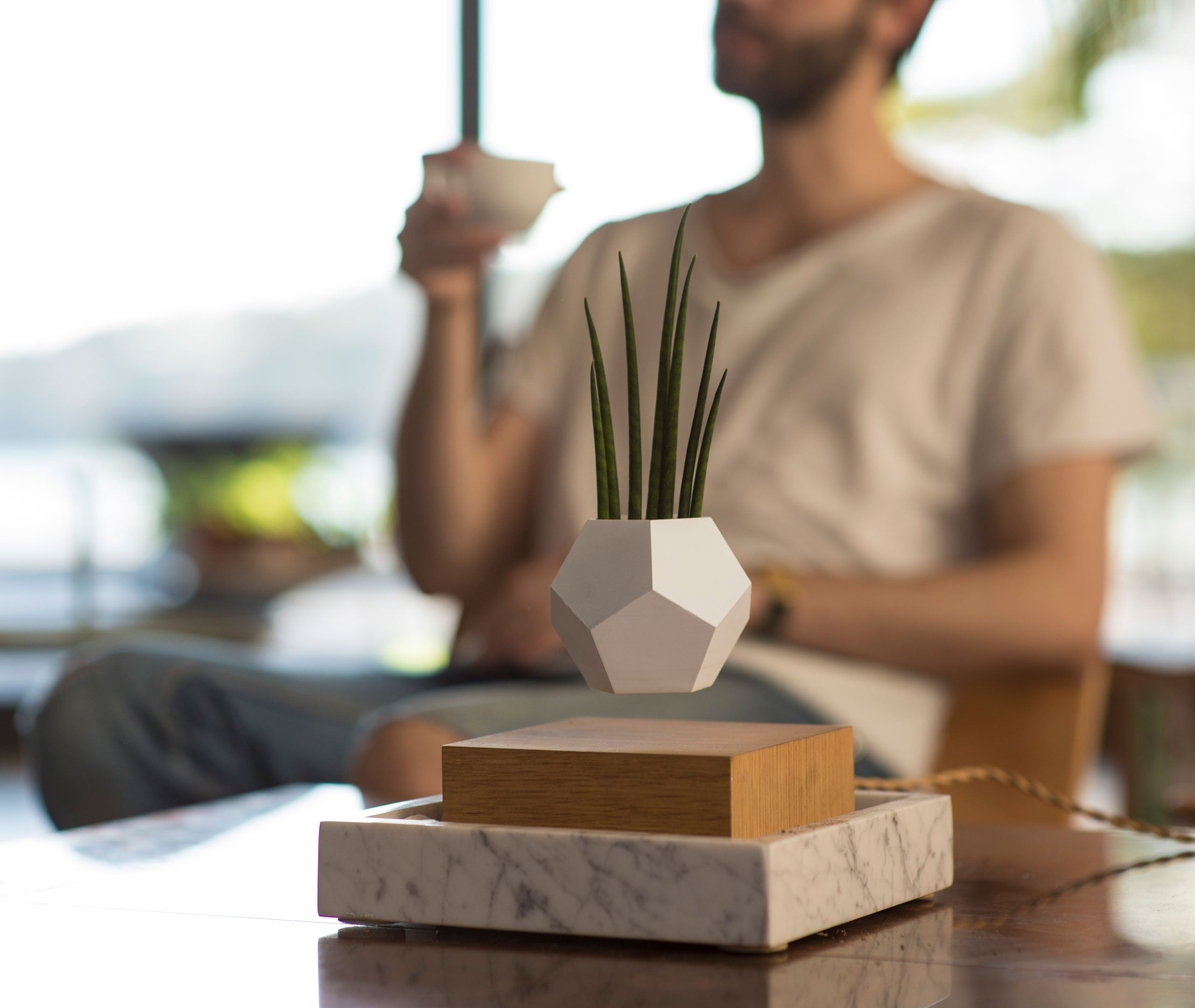 Lyfe Planter - Walnut、mySite、topwebapps