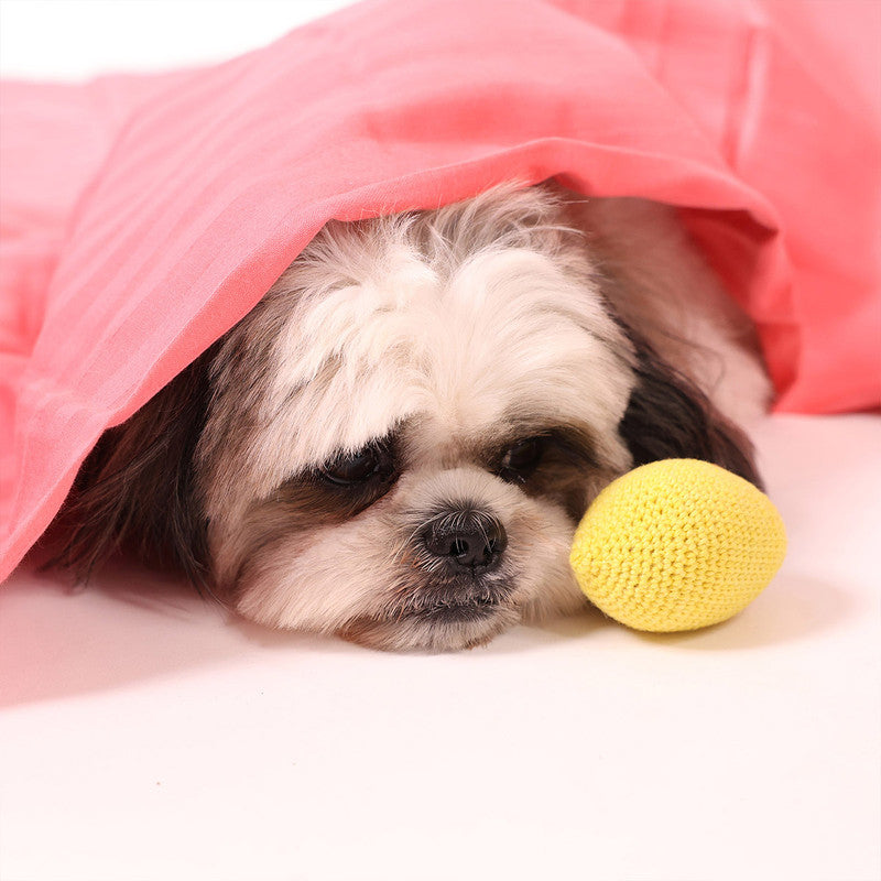 Lemony Lovebugs Toys For Dogs | Cotton Crochet Yarn | Yellow | Set of 2、mySite、camillekostekn