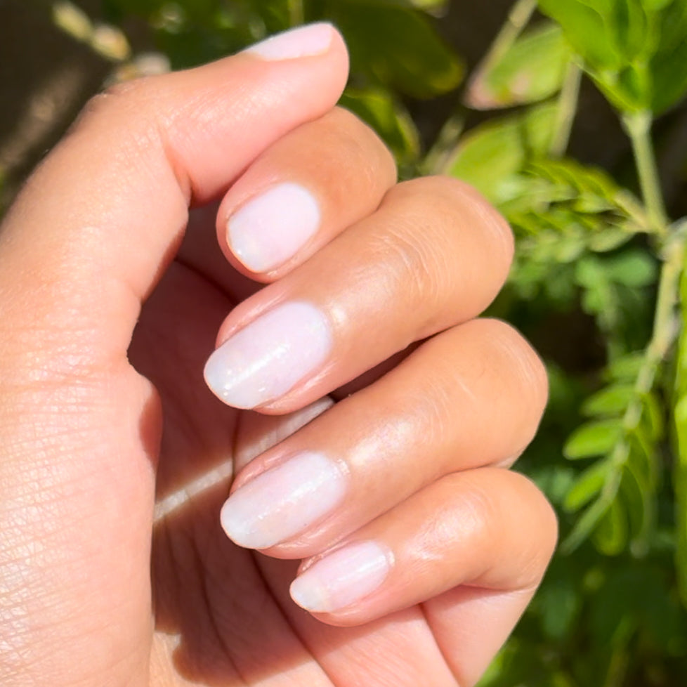 Office Party、mySite、solidvoid