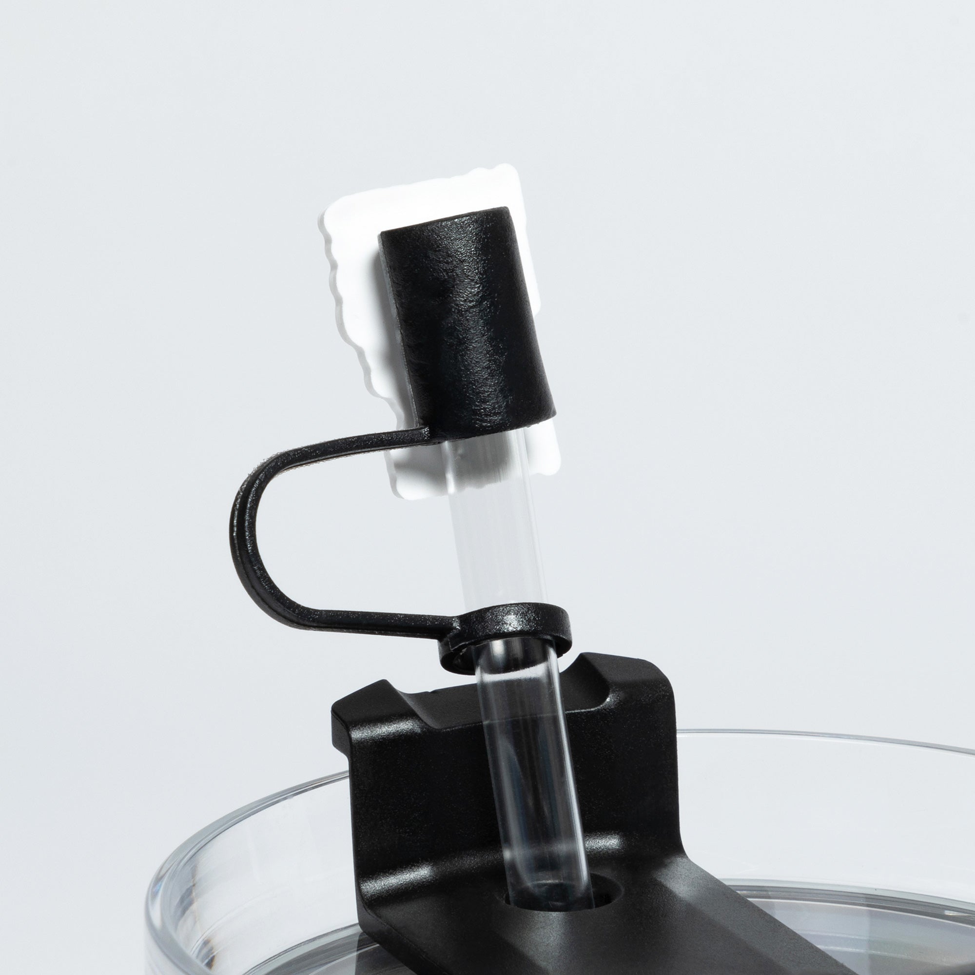 Your Favorite Straw Cover、mySite、camillekostekn