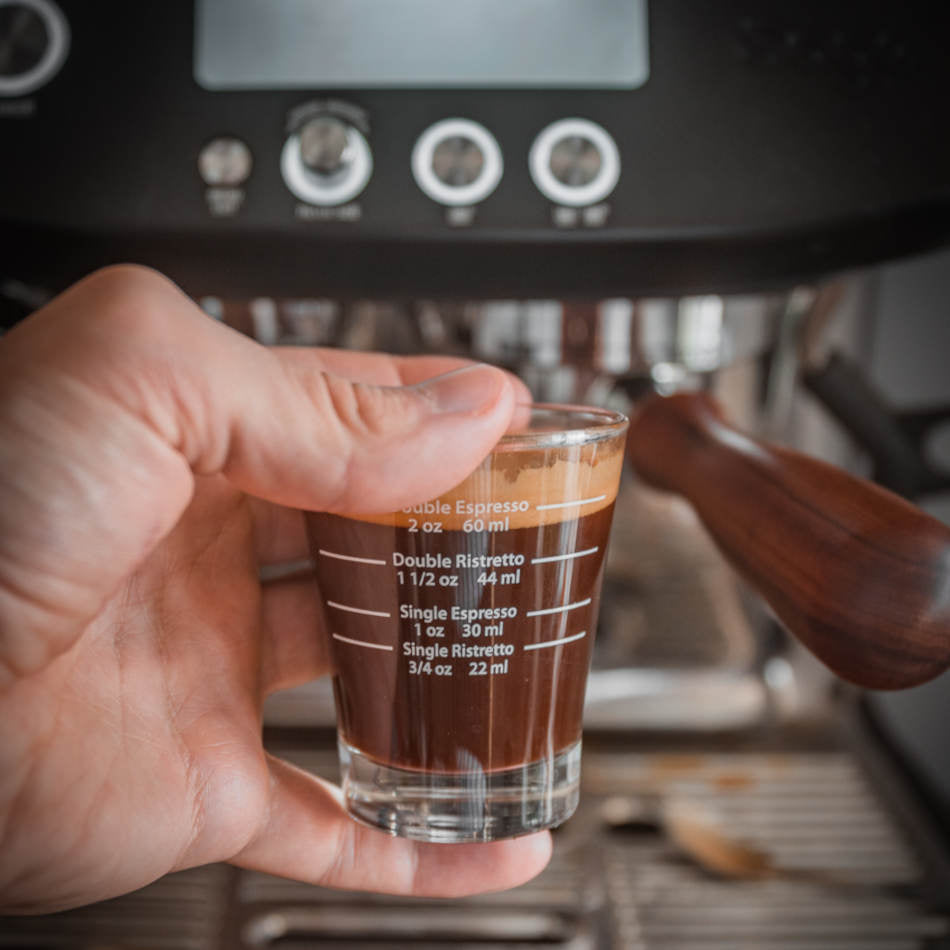 Sage Barista Pro Espresso Machine Black Truffle、mySite、gigharbornorthrealestate