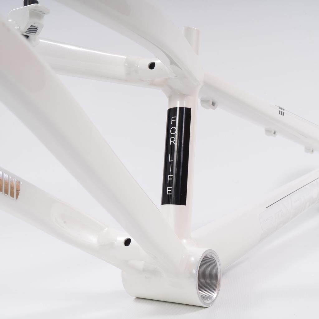  Stay Strong For Life 2023 V4 Expert Race Frame、mySite、merchandisen