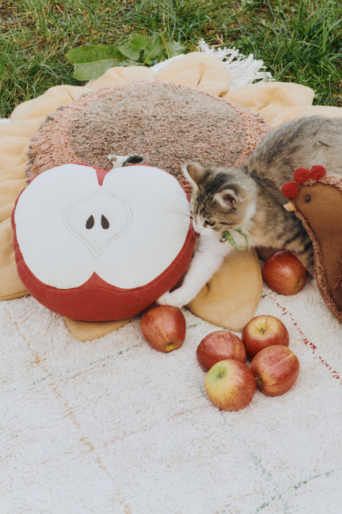 CUSHION APPLE、mySite、gigharbornorthrealestate