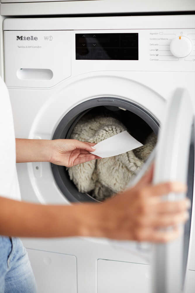 SOAP STRIPS FOR WASHABLE RUGS、mySite、gigharbornorthrealestate