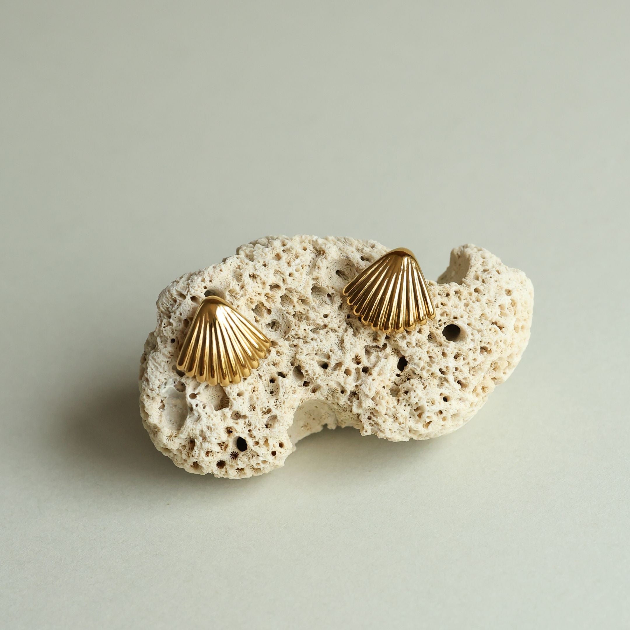 Seashell Earrings、mySite、hinf8tx79