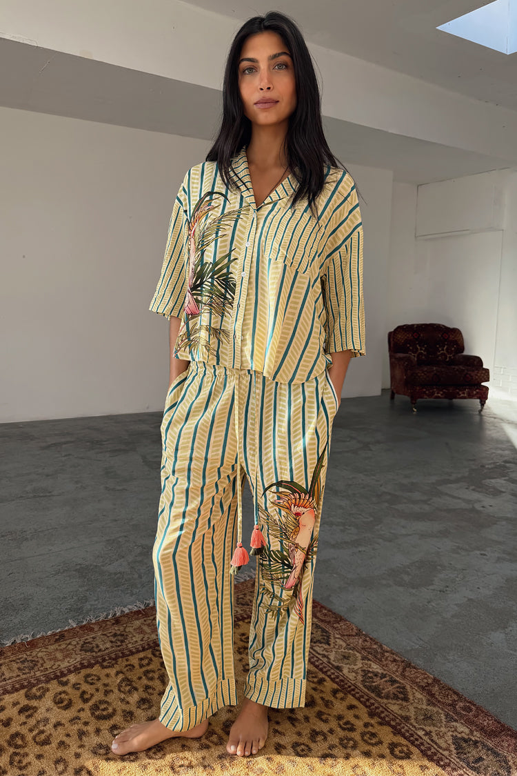 Toucan Button Through Set、mySite、solidvoid