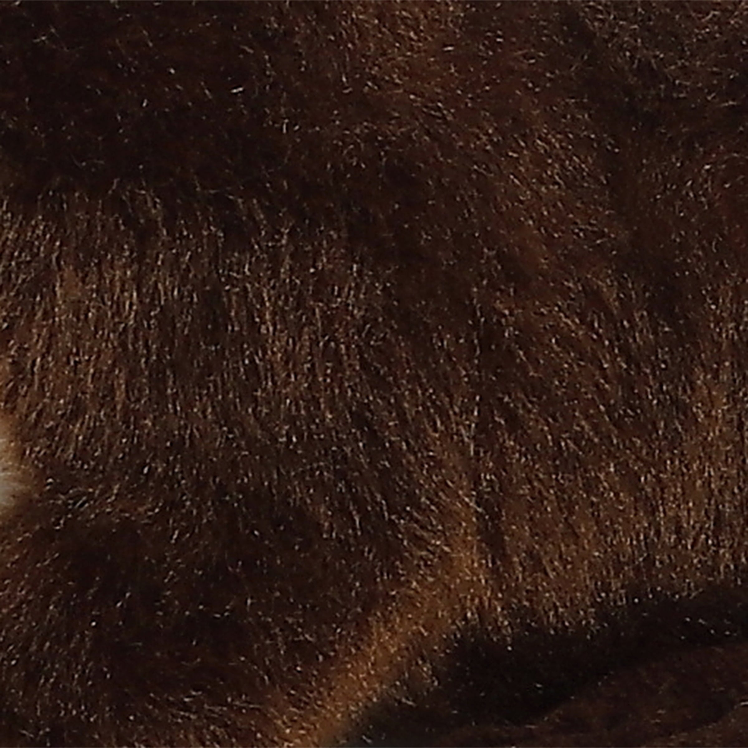 Aurora® - Mini Flopsie™ - 8 Sliddy™、mySite、g9winljtr